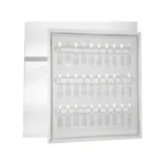 Ronas Timeless White Ampoule 1BOX (2 ml * 30 EA)